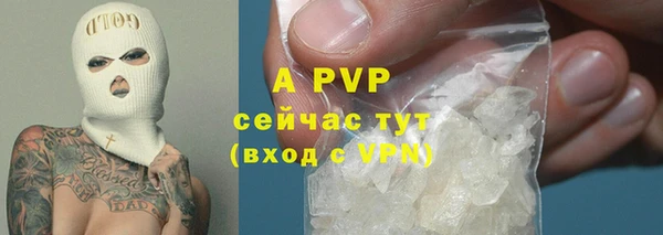 амф Арсеньев