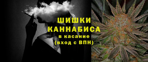 амф Арсеньев