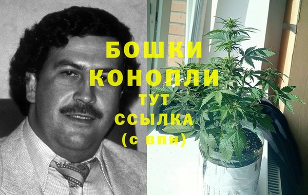 амф Арсеньев
