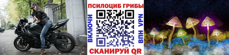 Псилоцибиновые грибы ЛСД  Боровск 